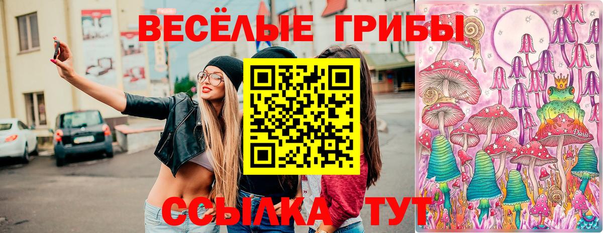 наркотики  Вход с VPN  Таганрог  Галлюциногенные грибы мицелий 